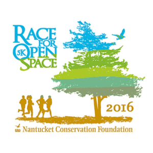 Race for Open Space 2016 logo