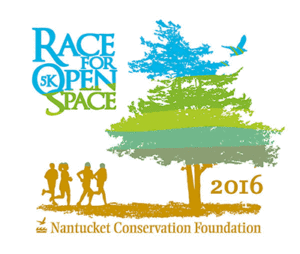 Race for Open Space 2016 logo